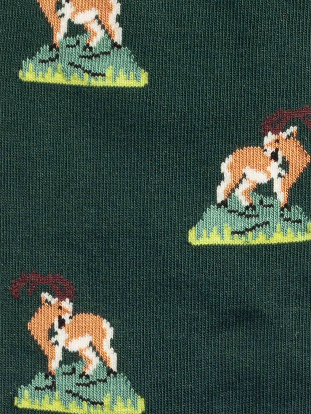 Aventures animales (pack de 3)