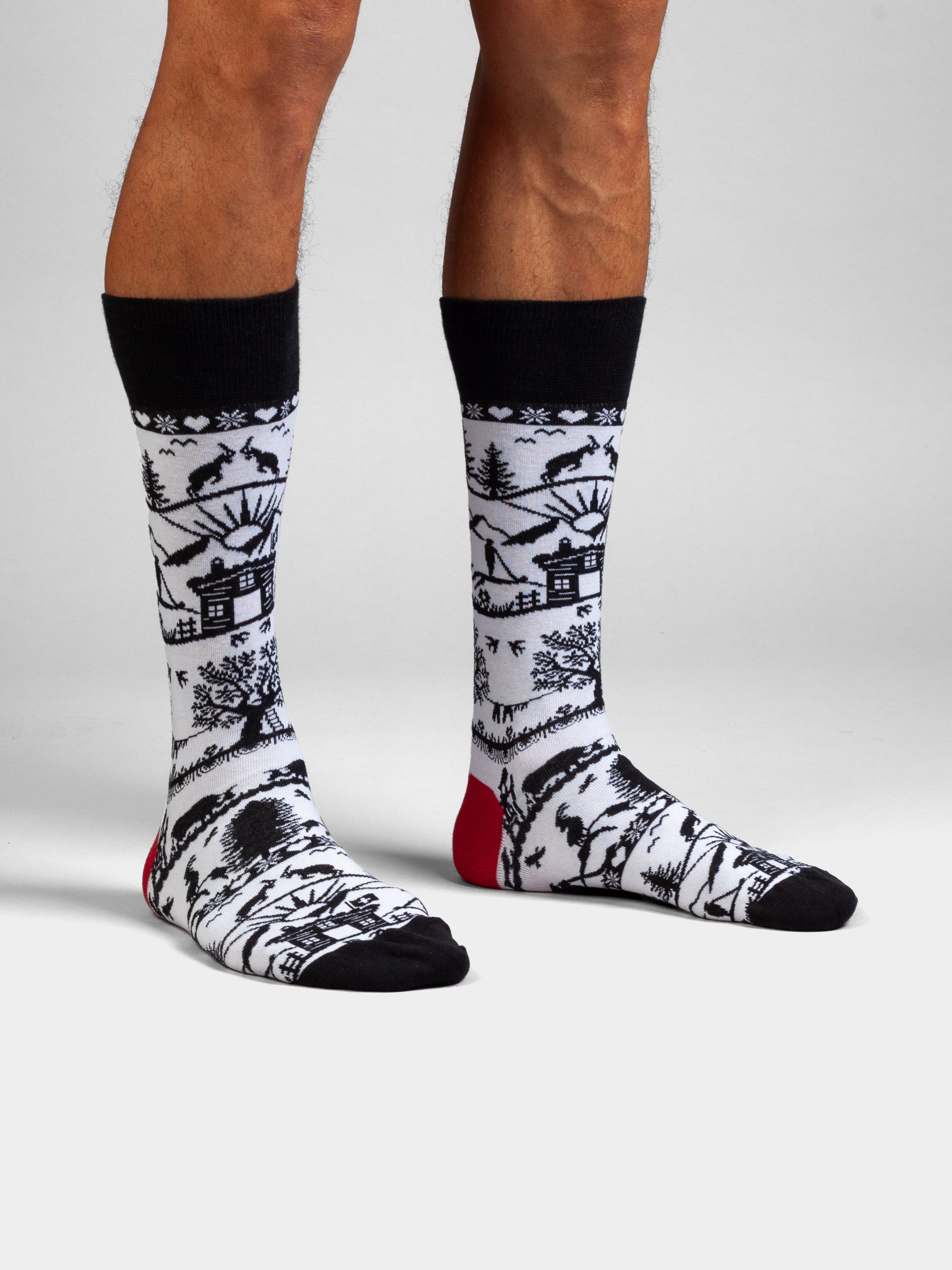 Socken Swiss Silhouette von DillySocks