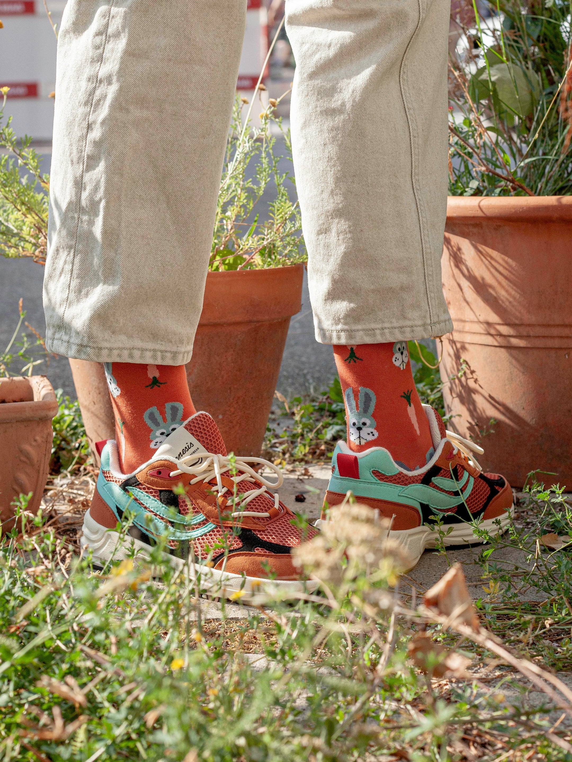 Socken Carrot Bunny von DillySocks