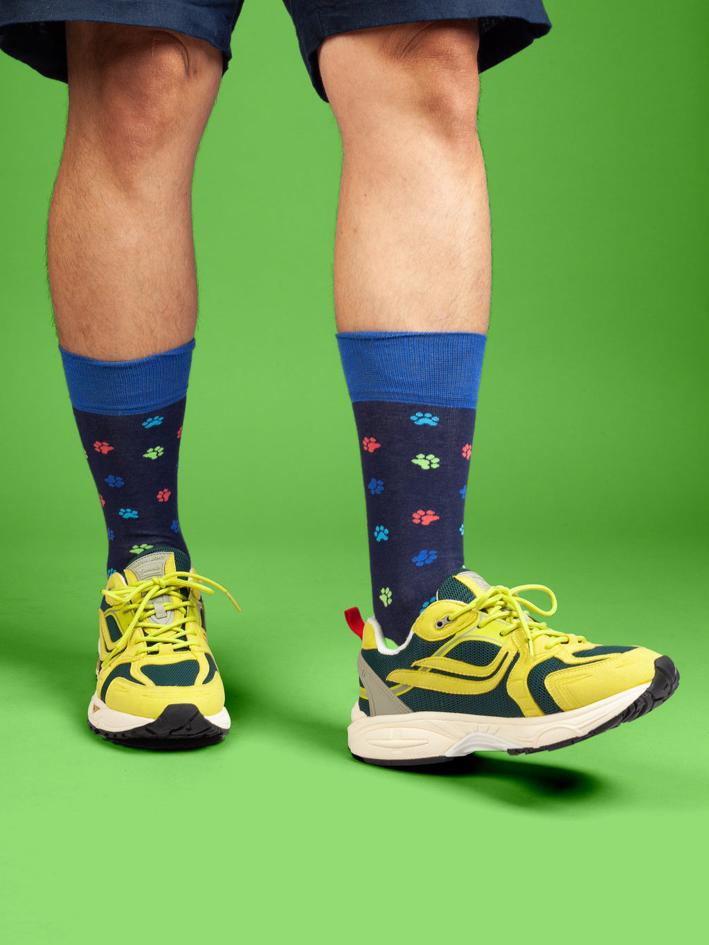 Socken Color Paws von DillySocks