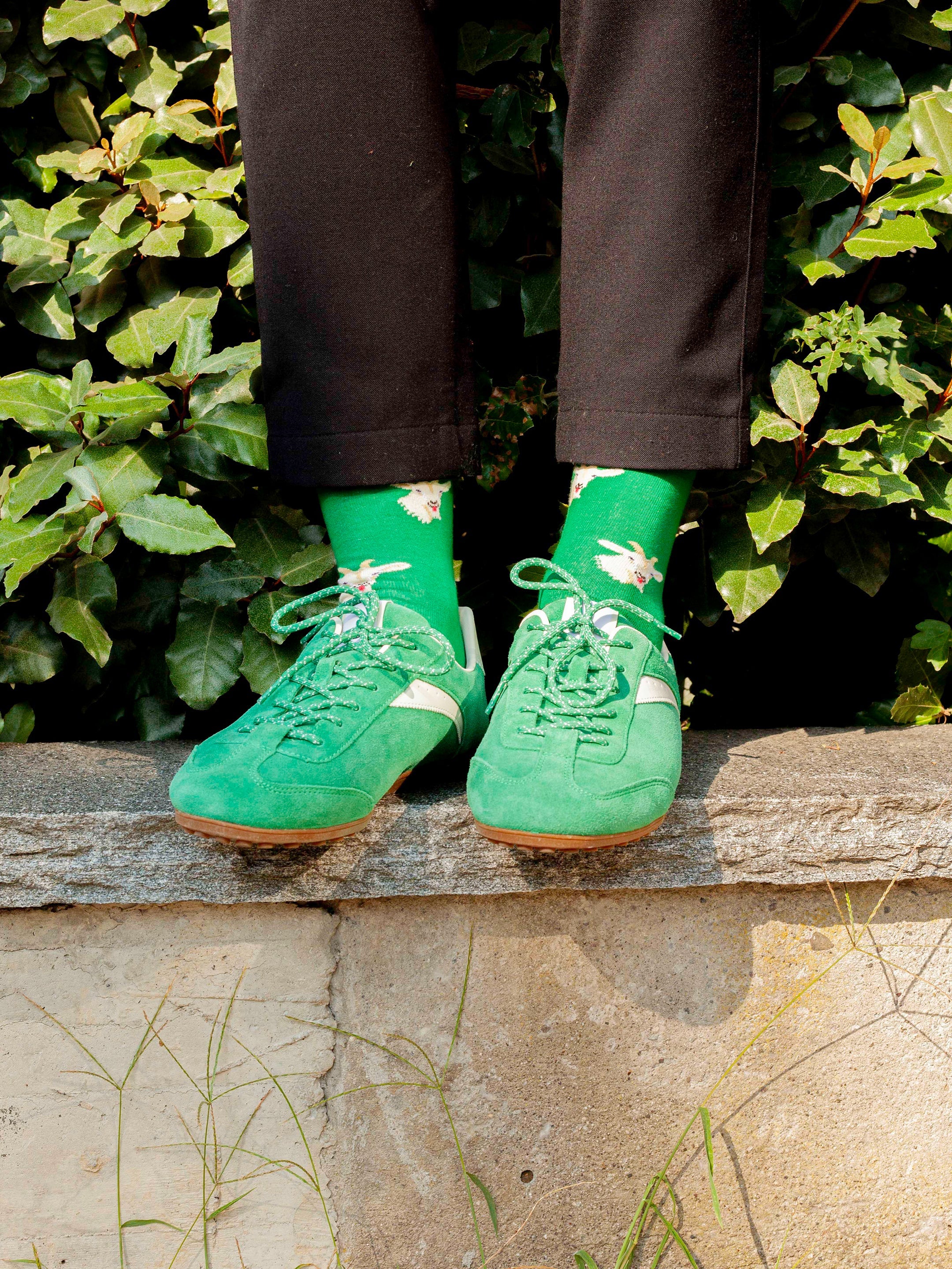 Socken Alpine Goats von DillySocks