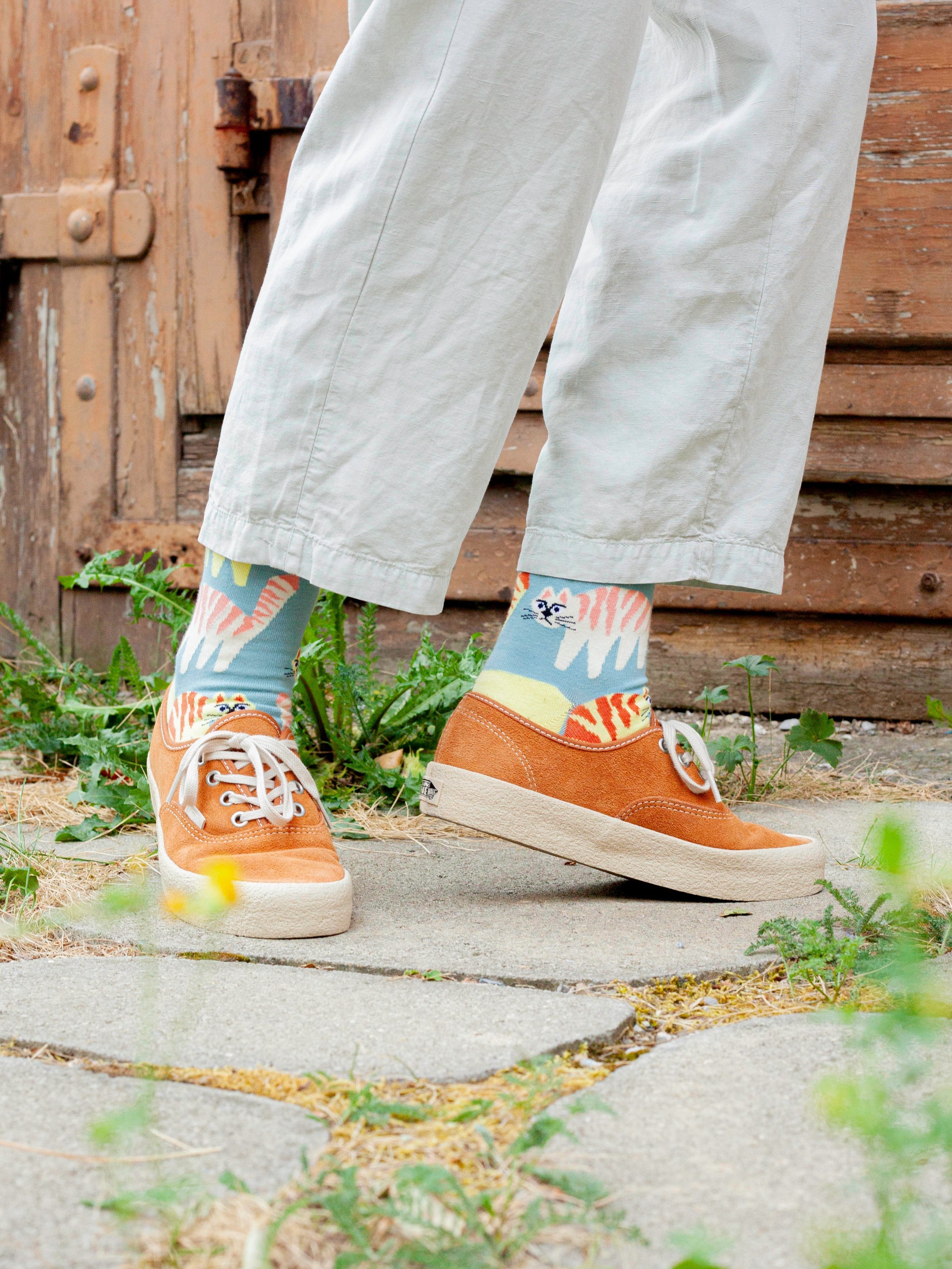 Socken Meow Mania von DillySocks