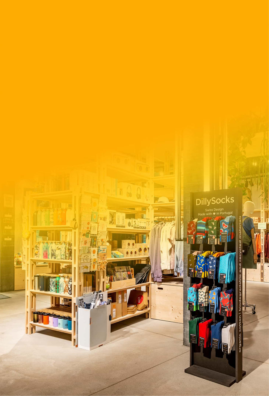 Vous souhaitez vendre DillySocks® 
dans votre magasin ?