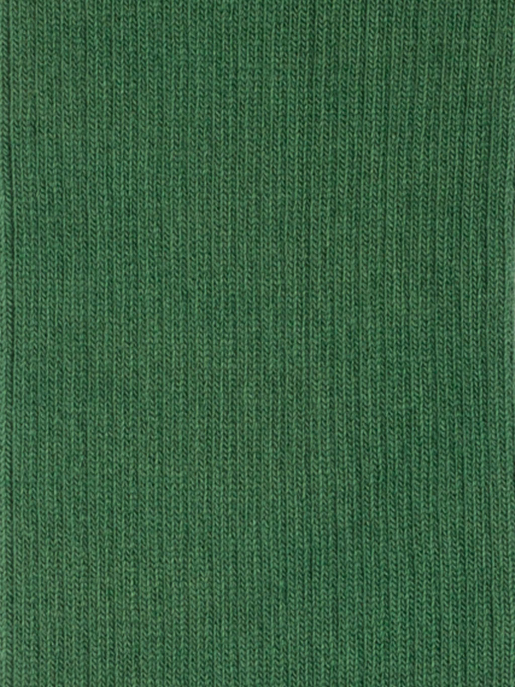 Rippled Sea Green