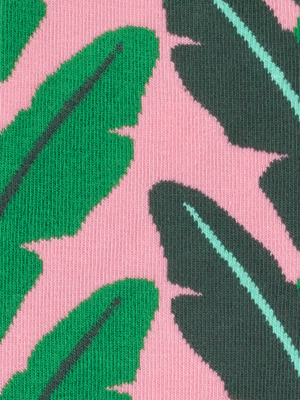 Tropical Leaves