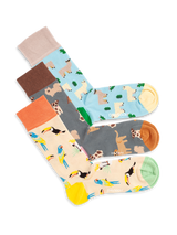 Packs & Sets
