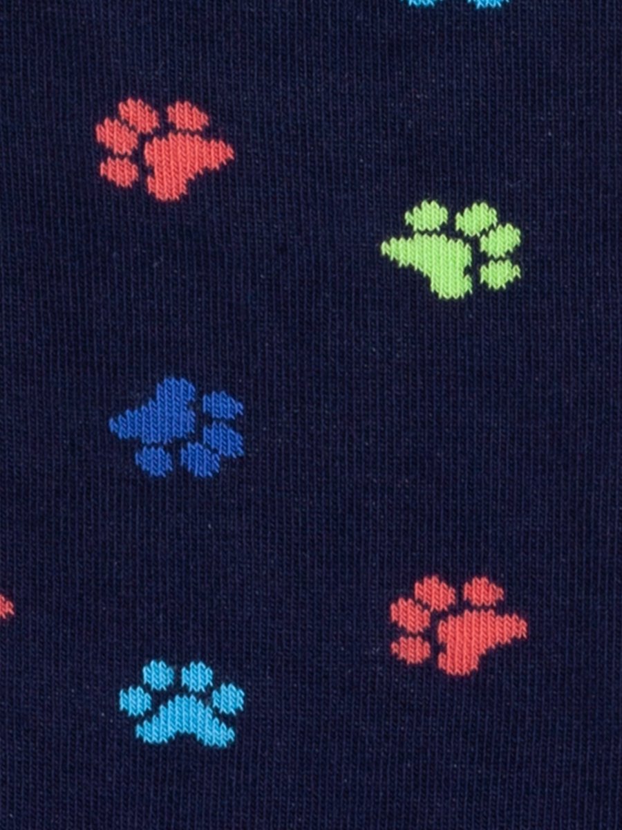 Bunte Socken Color Paws von DillySocks