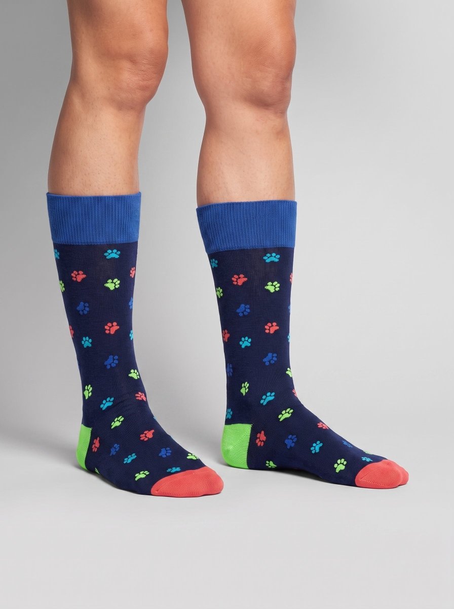 Bunte Socken Color Paws von DillySocks