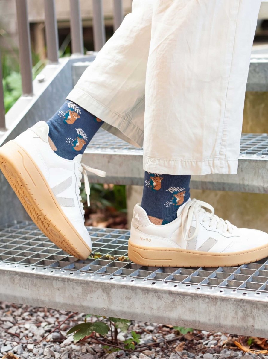 Bunte Socken Comfy Koala von DillySocks