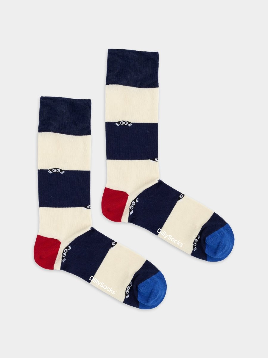 Bunte Socken Harbor Stripes von DillySocks