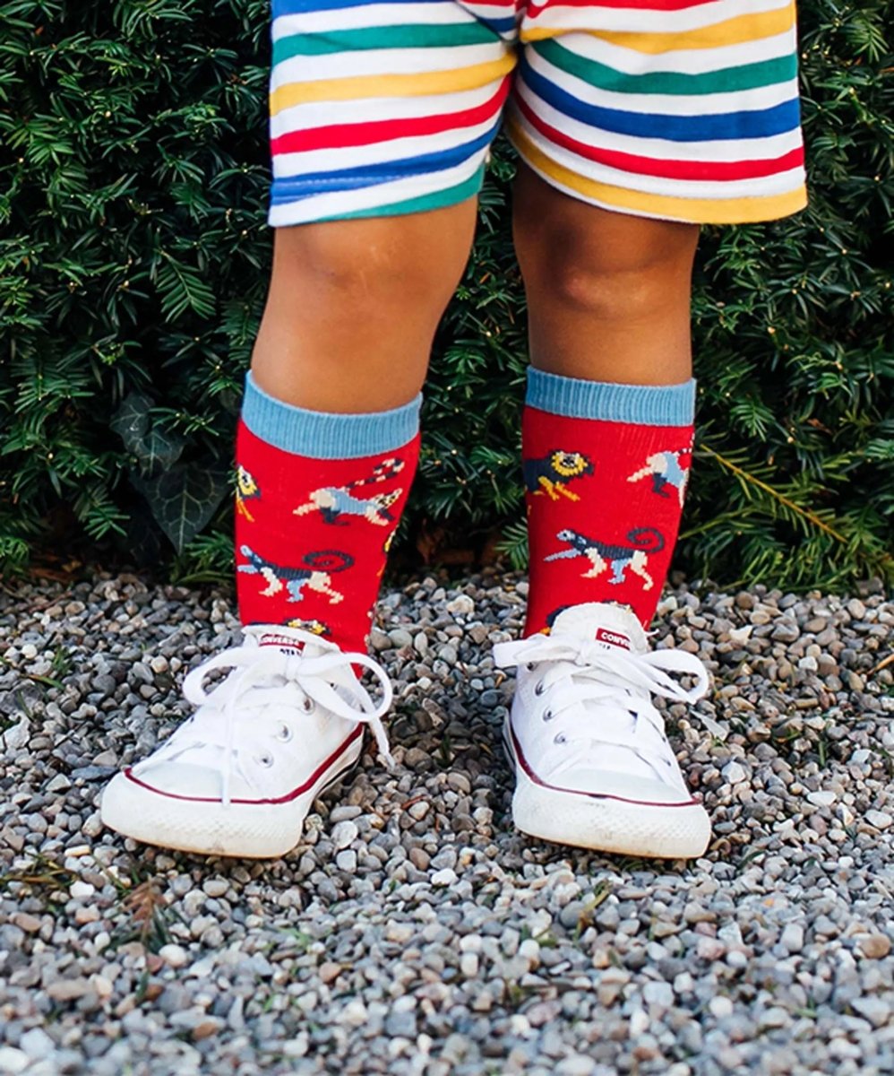 Kindersocken Lil Baboon von DillySocks