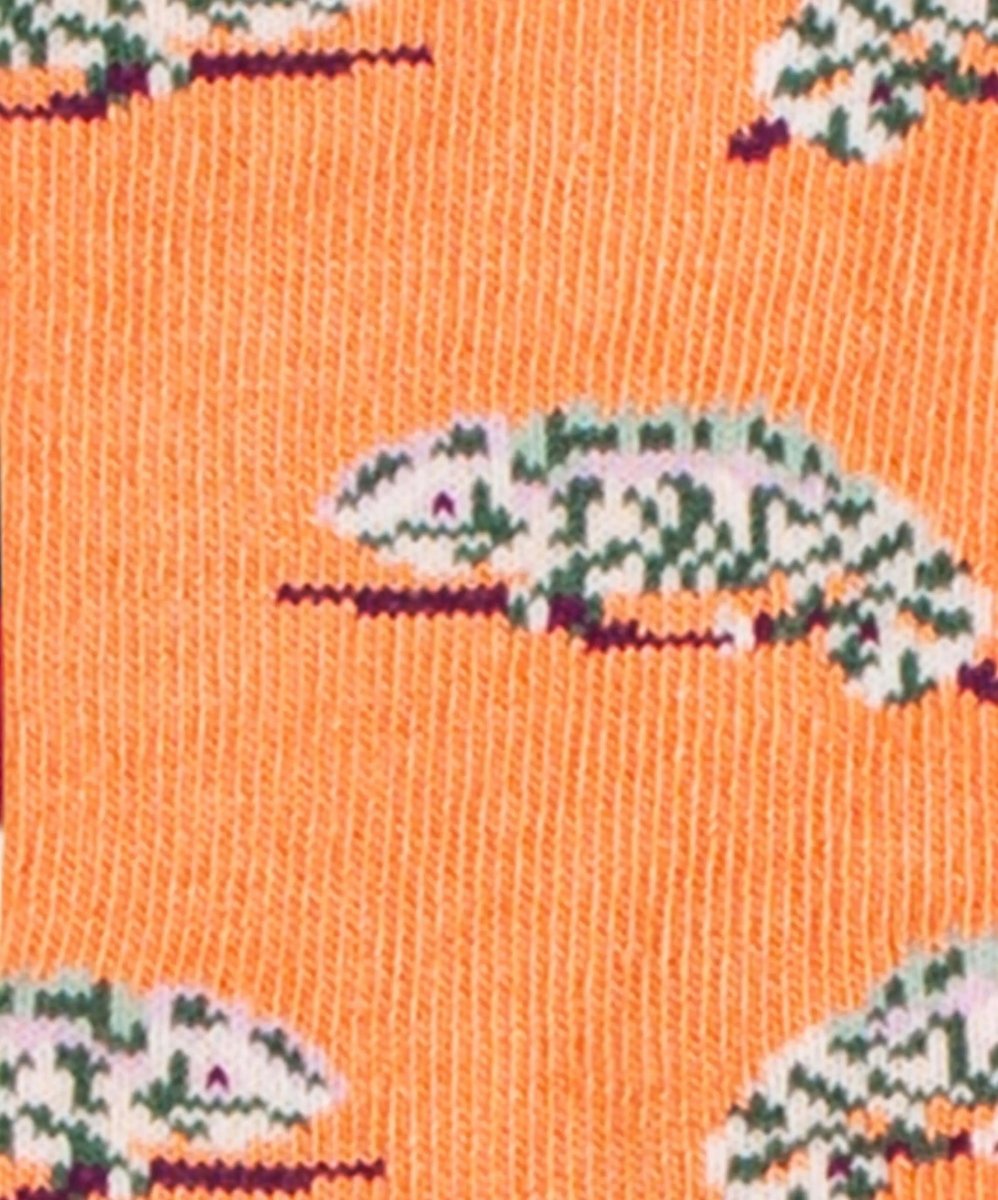 Kindersocken Lil Karmeleon von DillySocks