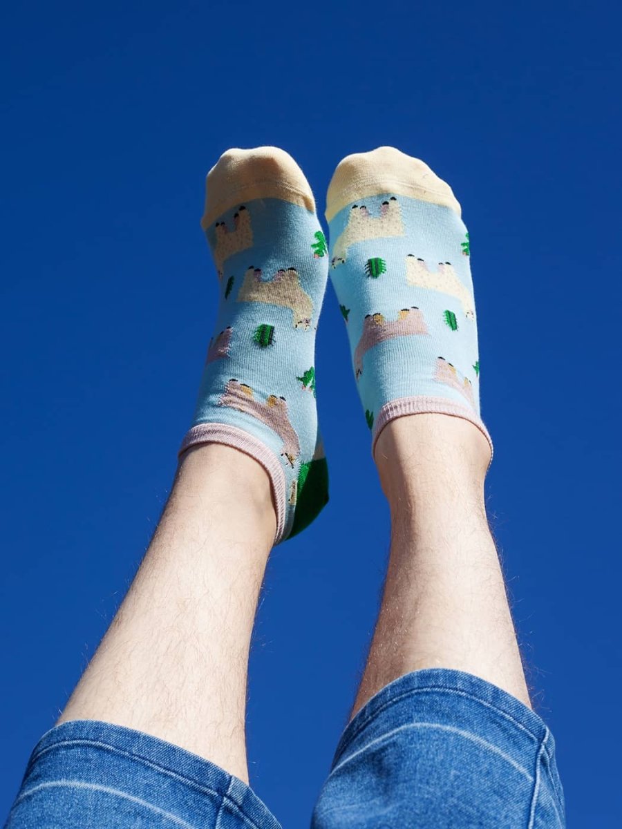 Sneakersocken Short Alpaca Gang von DillySocks