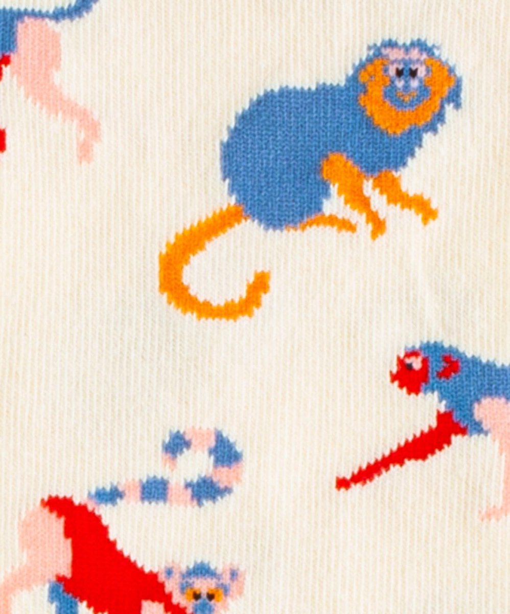Socken Baboon Sand von DillySocks