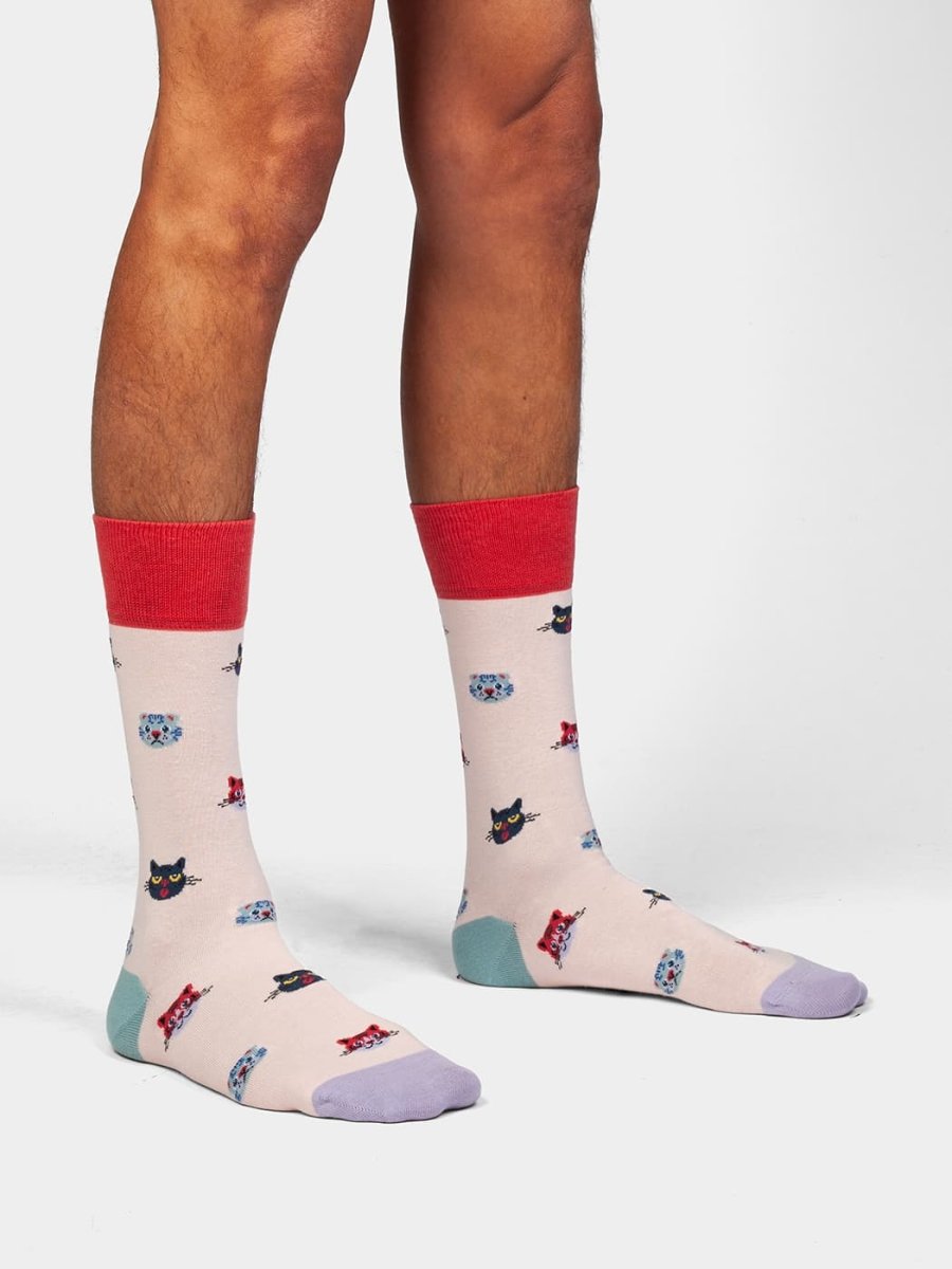 Socken Curious Cats von DillySocks