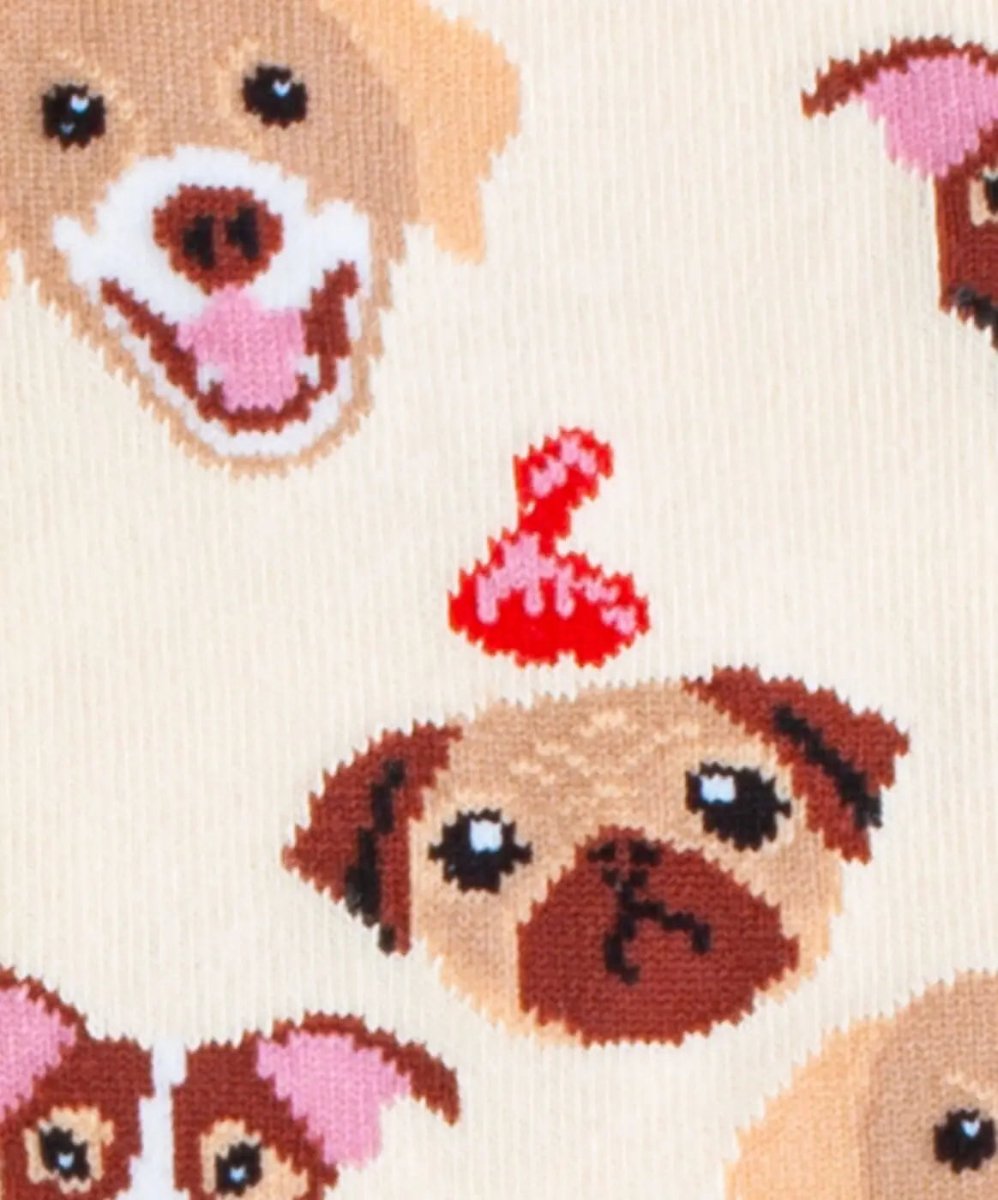 Socken Dogs Life von DillySocks