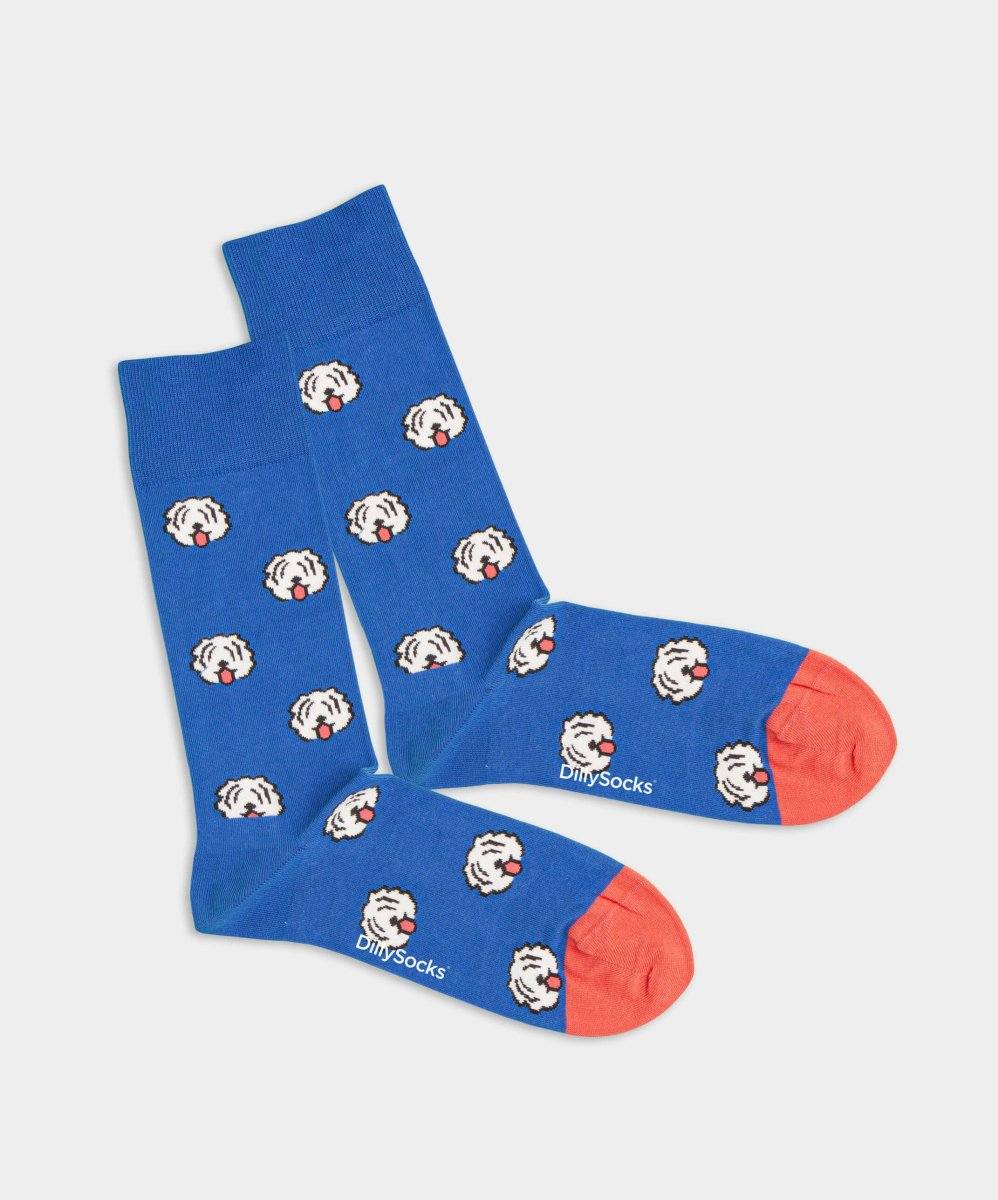 Fido Hund gehorcht dank speziellen Socken besser