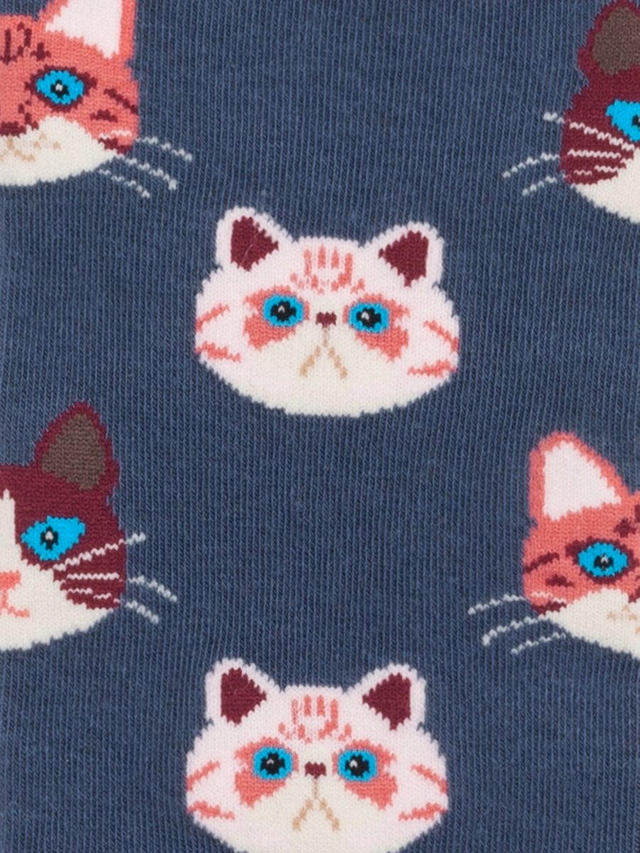 Socken - Geschenkbox Cute Animal Crew (3er Box) von DillySocks