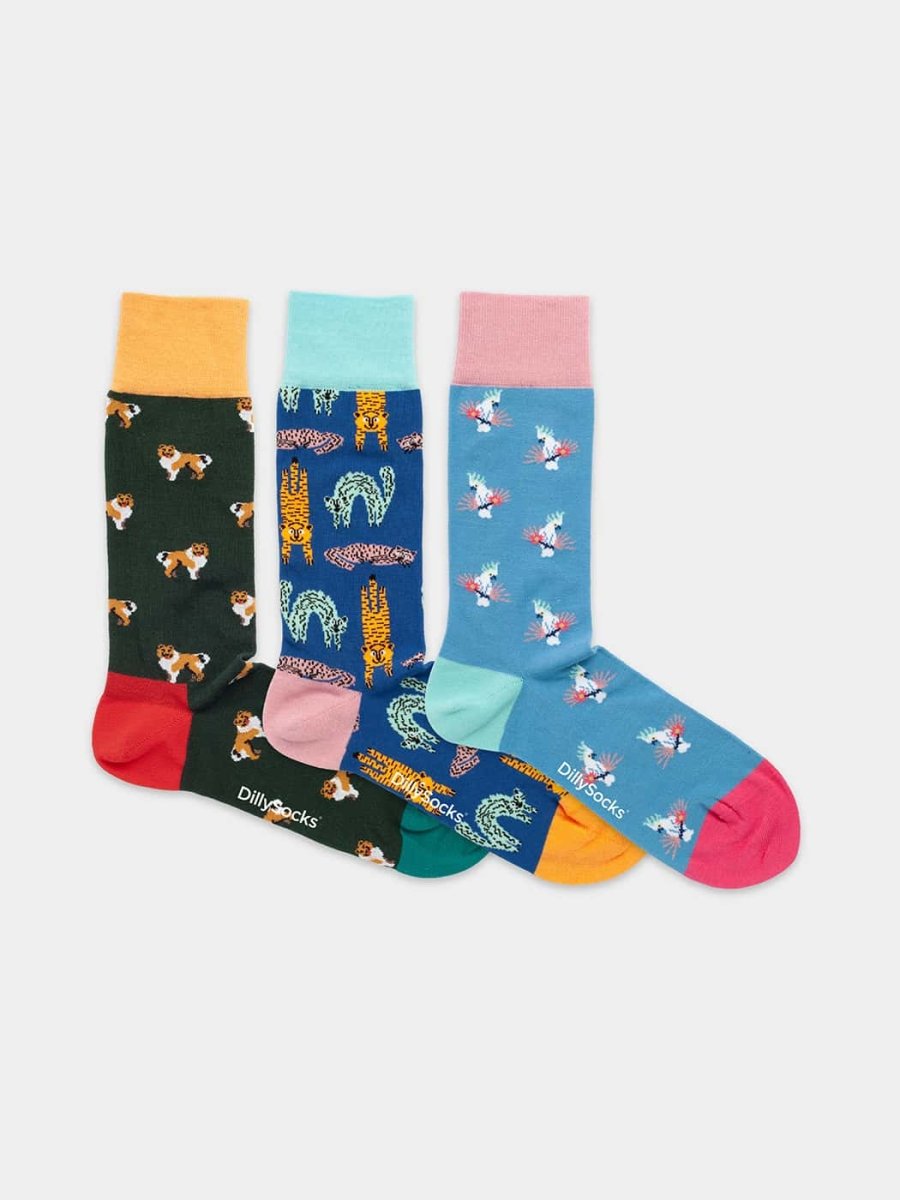 Socken - Geschenkbox Pet Trio (3er Box) von DillySocks