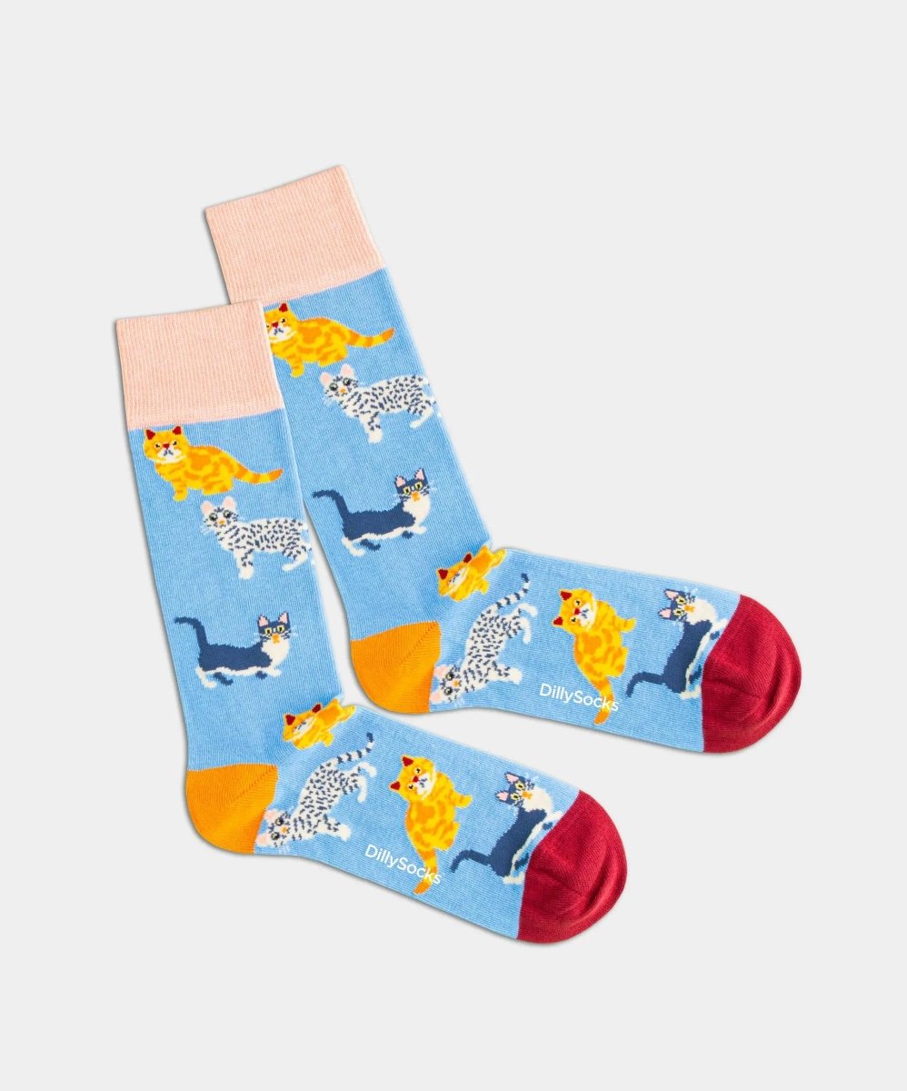 Socken - Geschenkbox Pets Pack (3er Box) von DillySocks