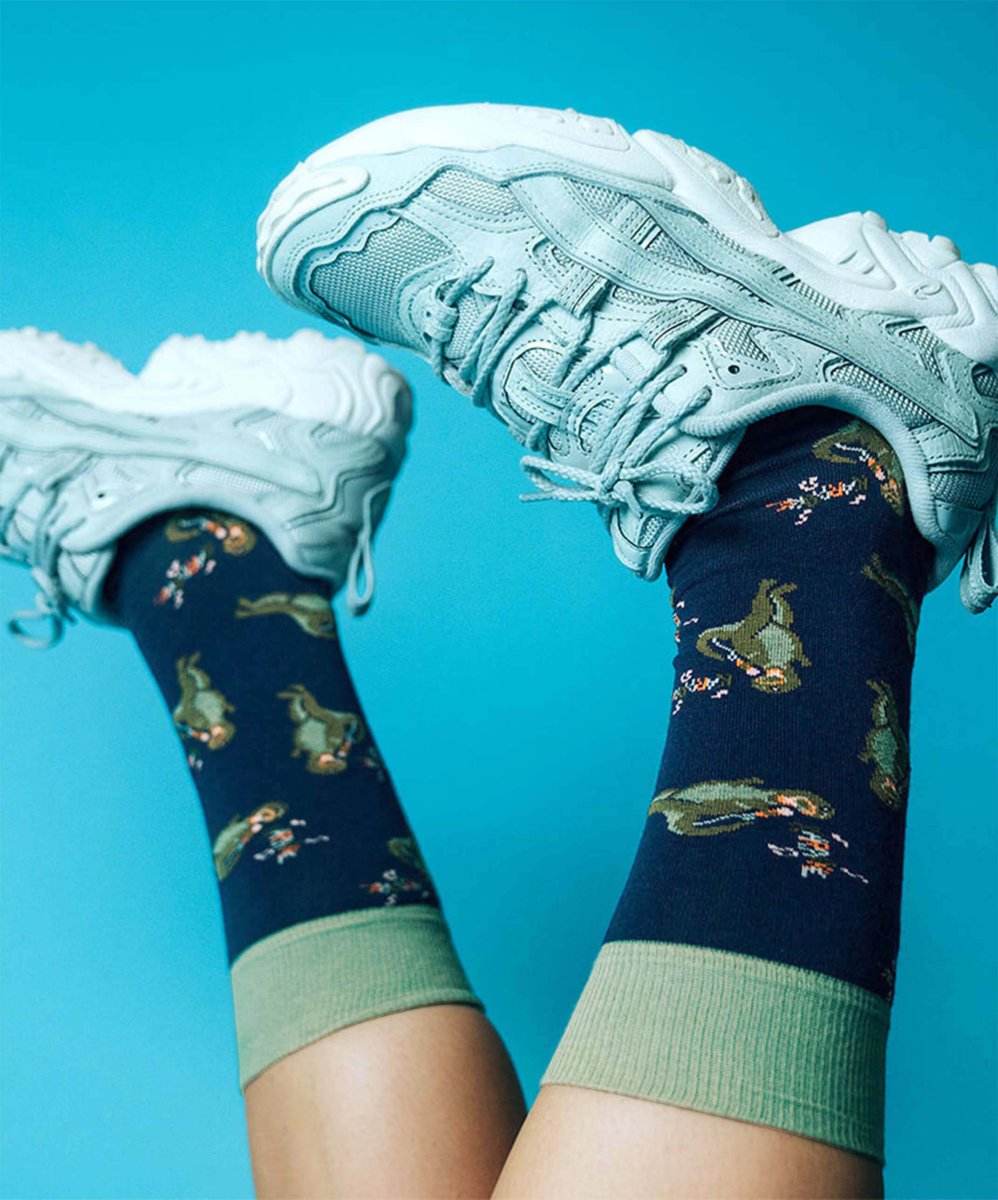 Socken Karaoke Dino von DillySocks