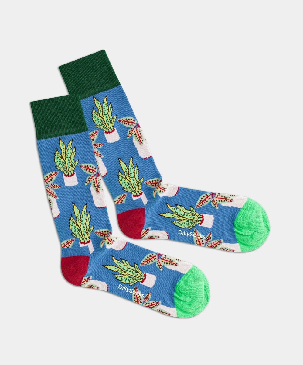 Socken Sea Pottery von DillySocks