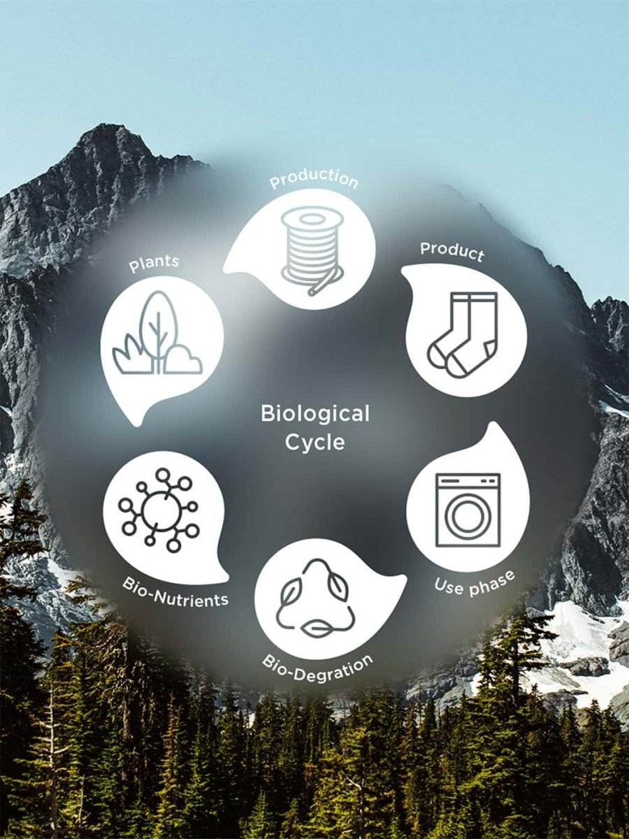 Socken - Sets D - Compose Moss Green (2er Pack) von DillySocks