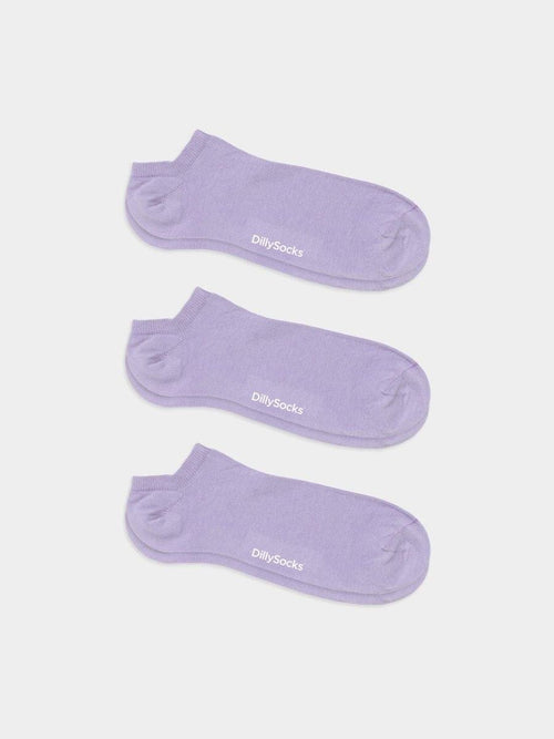Short Lavender Lilac (Pack of 3)
