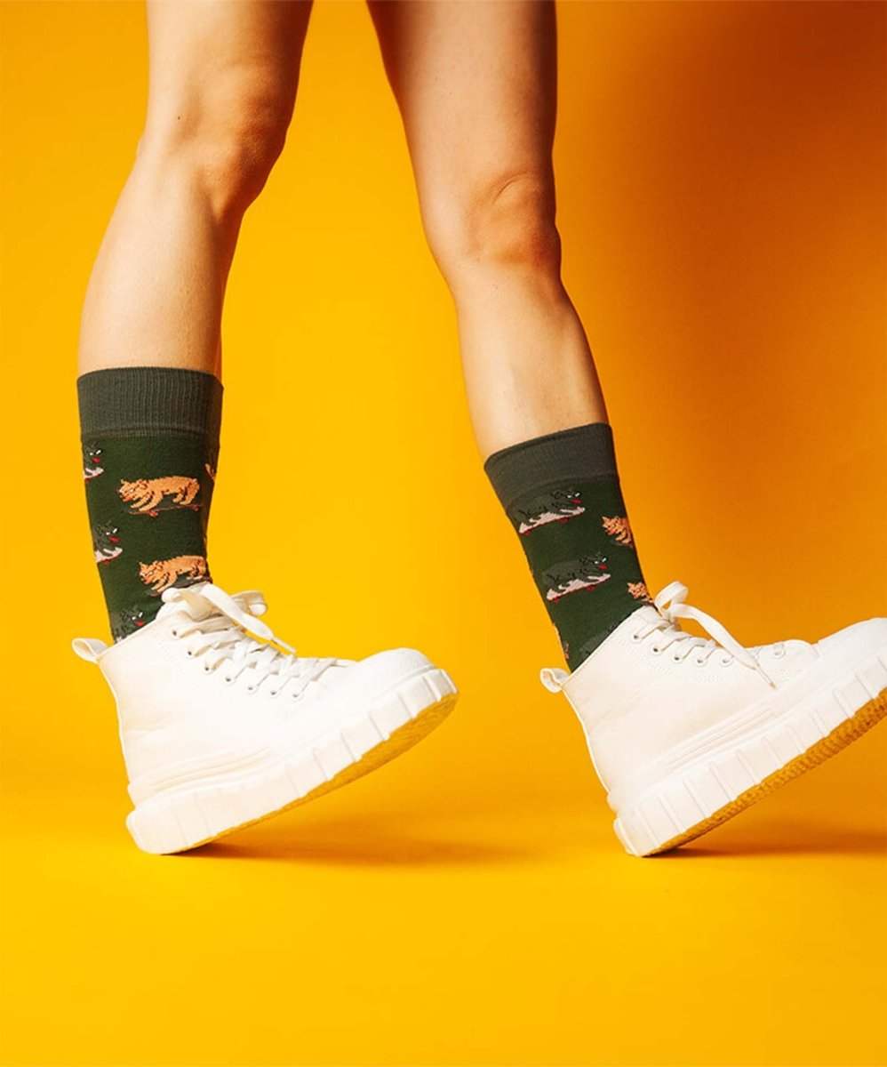 Socken Skater Dog von DillySocks